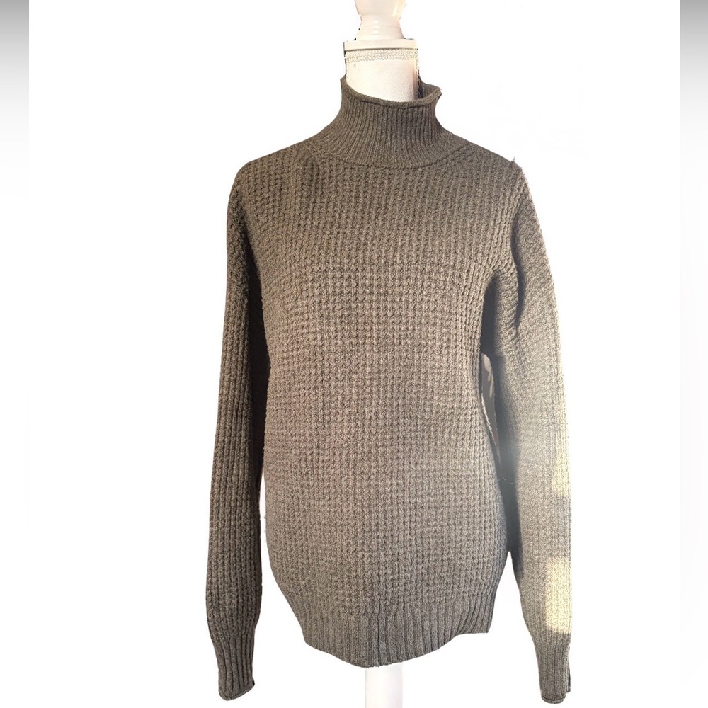 American Eagle Outfitters Dark Green oversized Turtleneck Sweater